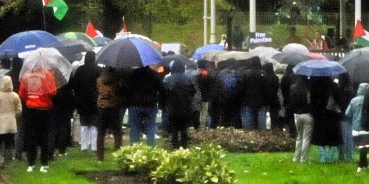 Locals attend rally for Palestine in support of justice, peace and dignity