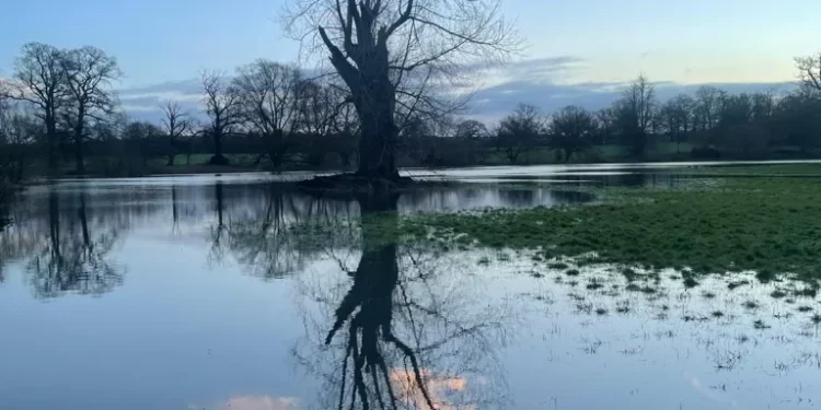 3 Flood Alerts For Wokingham As River Loddon Bursts it Banks